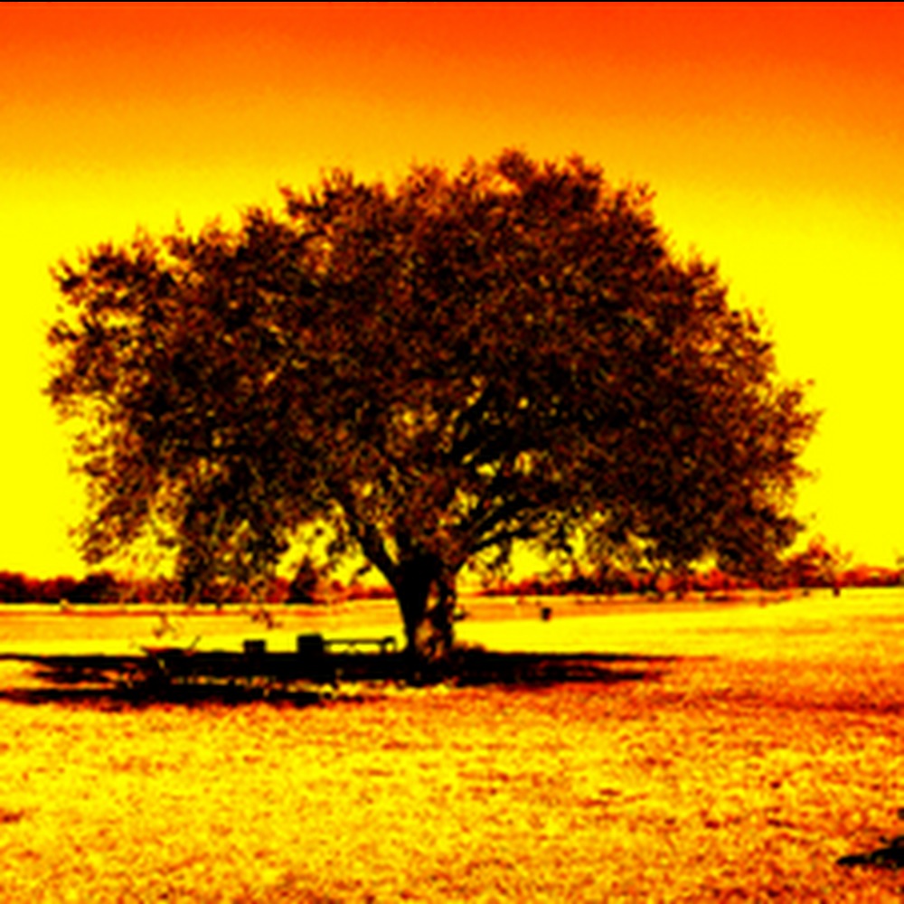 Meet your Posher, Ross